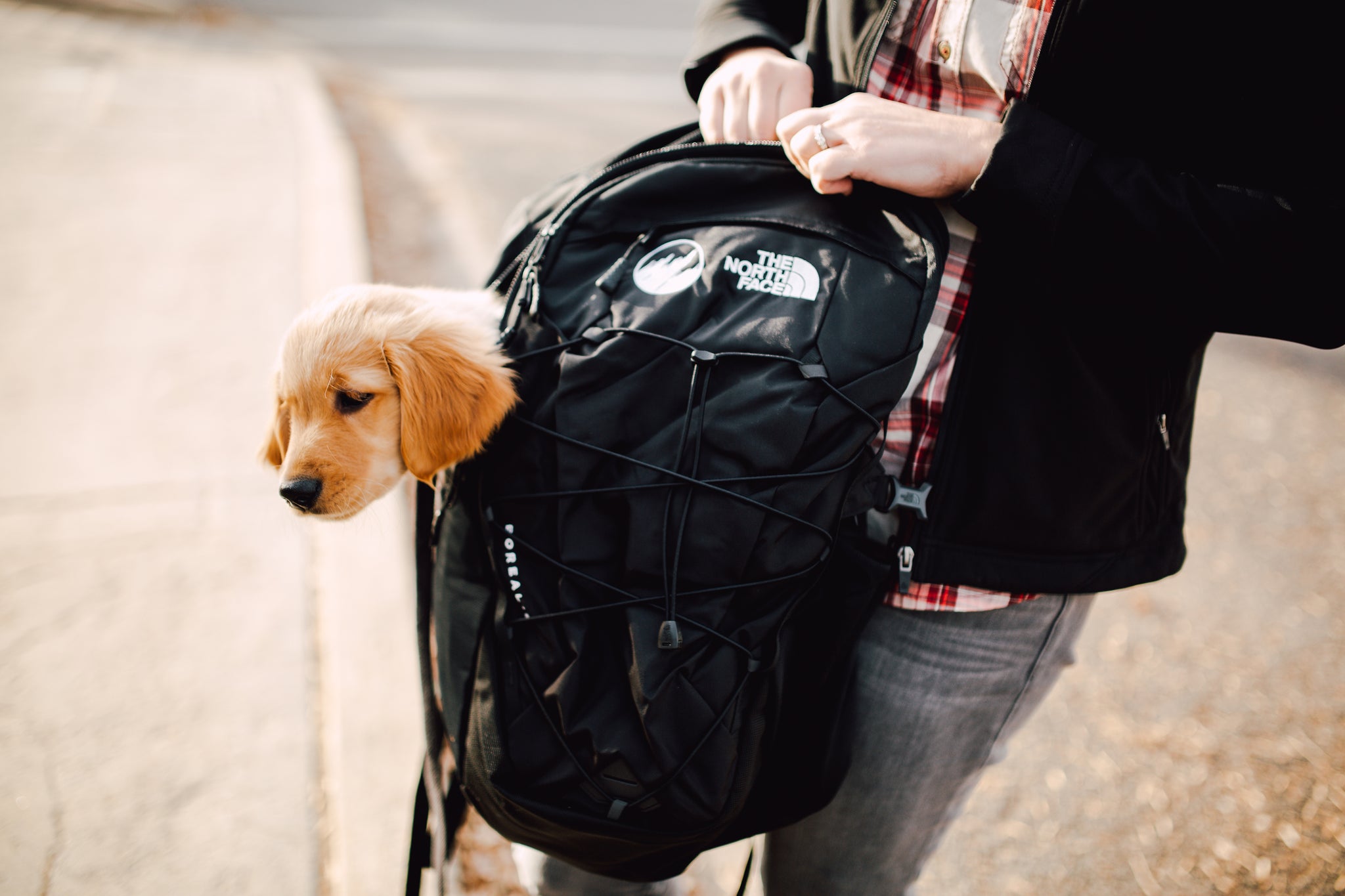 north face dog backpack The Mochila para Nios Youth's Mini Explorer Nios (verde) 2 waterproof North Face Fall Line Backpack